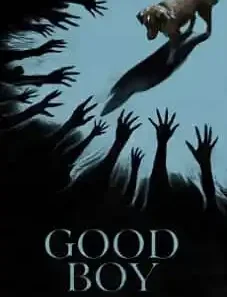 Good Boy 2025